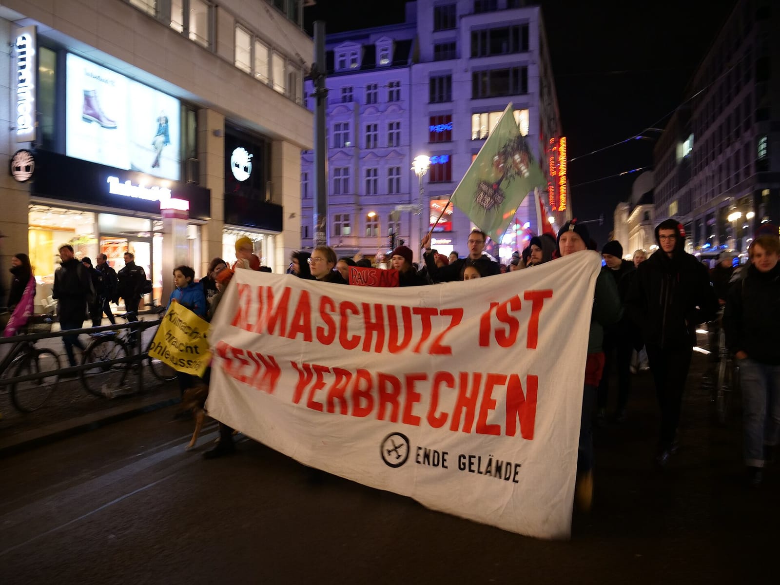 Steinecke photo 2