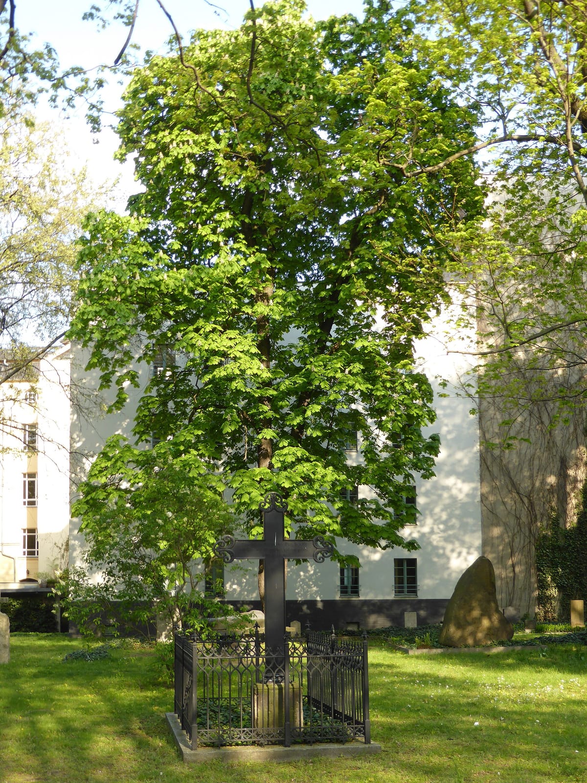 soi & co. photo 5