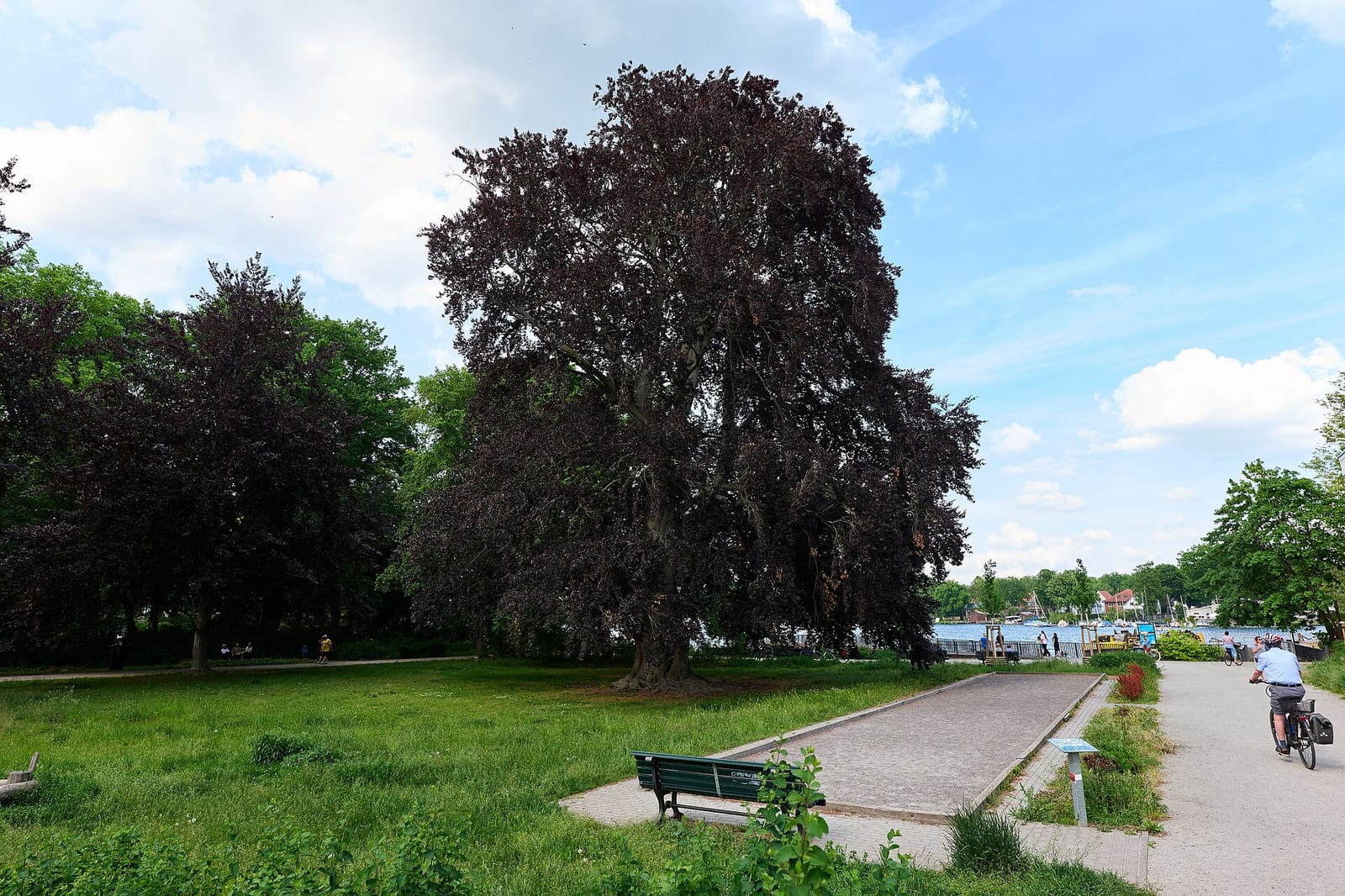 Café Büxenstein photo 2