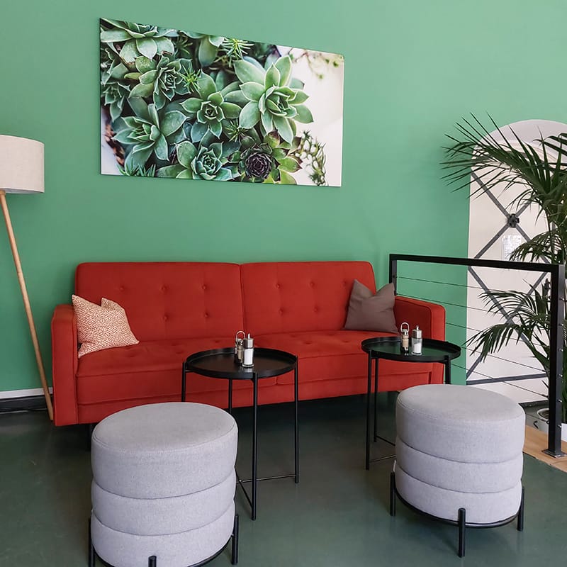Bärlauch photo 3