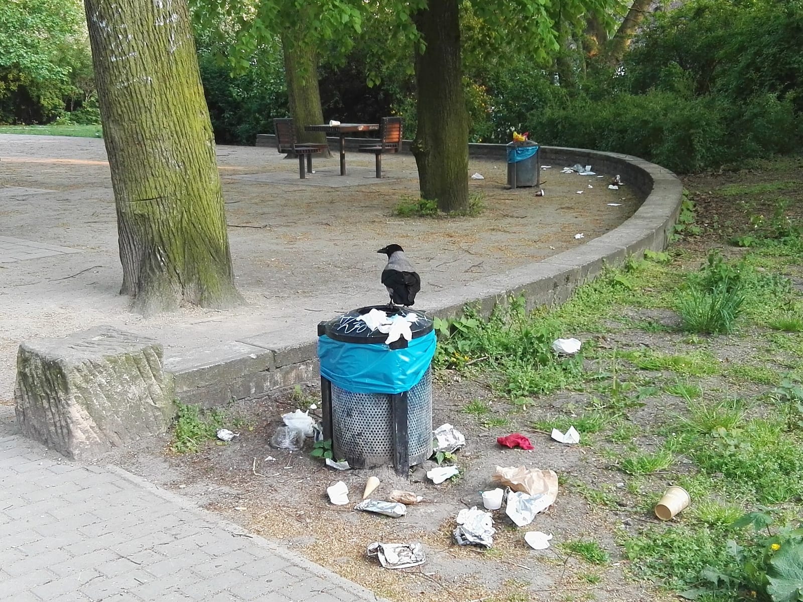 Bornträger photo 2