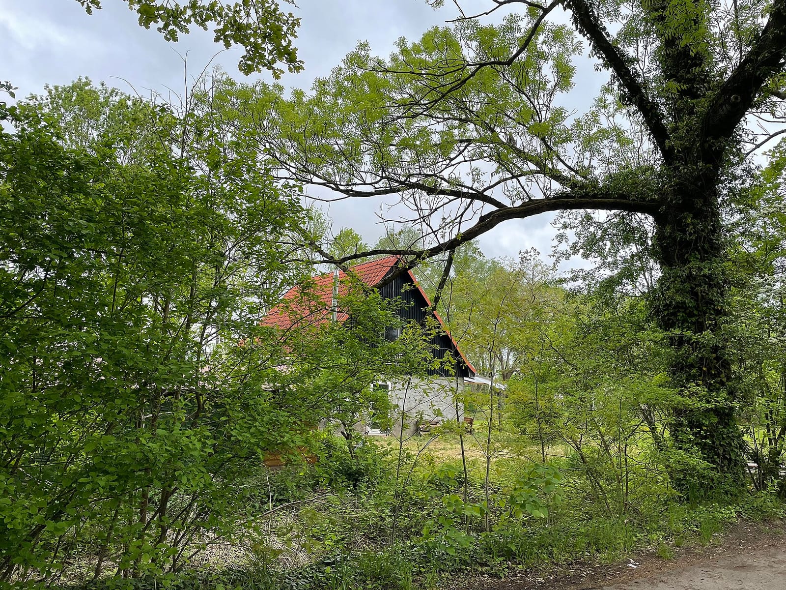 Wiesencafe Karolinenhof photo 2