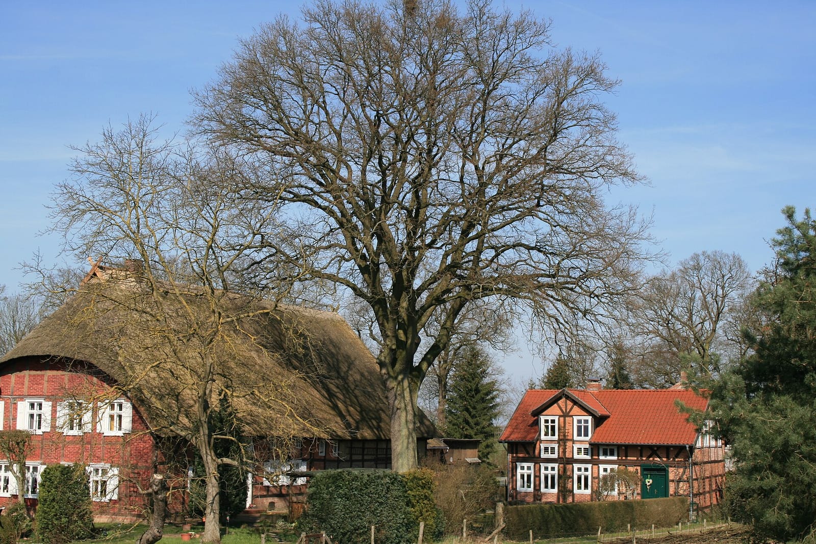 Elbeglück photo 2