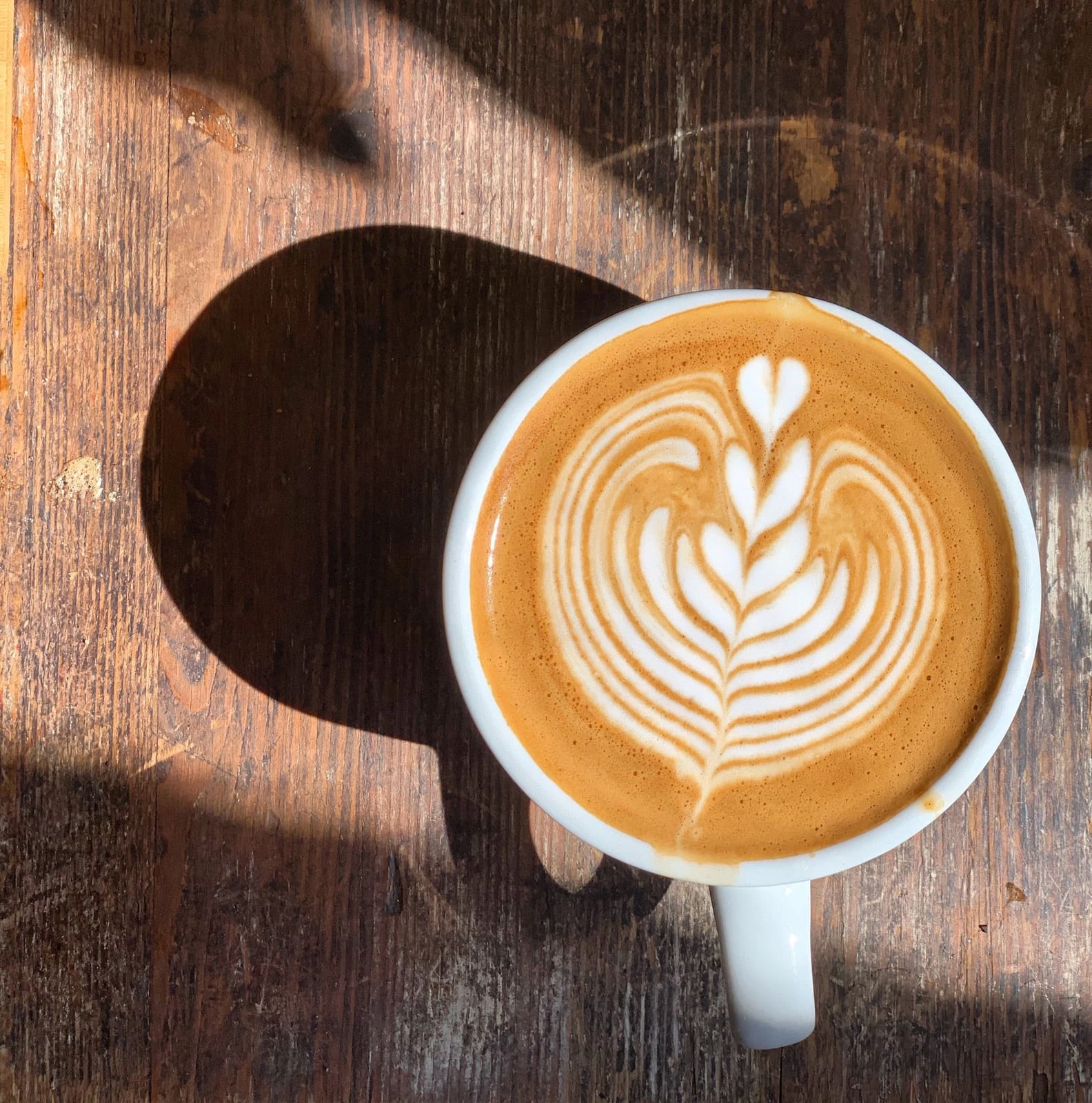 Lola Coffee photo 2
