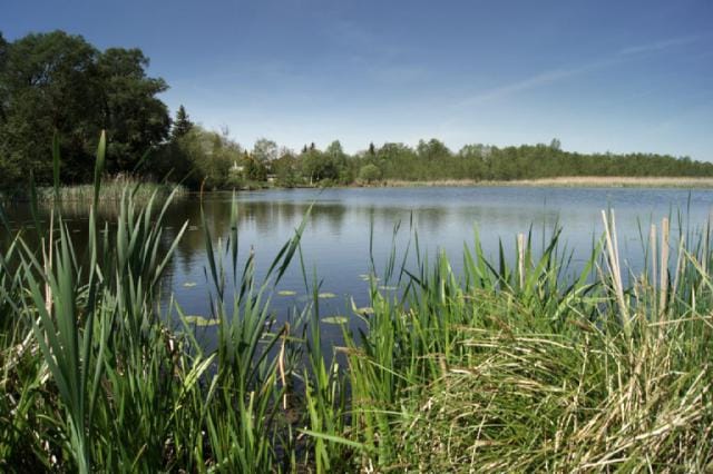 zum Mühlenteich photo 6