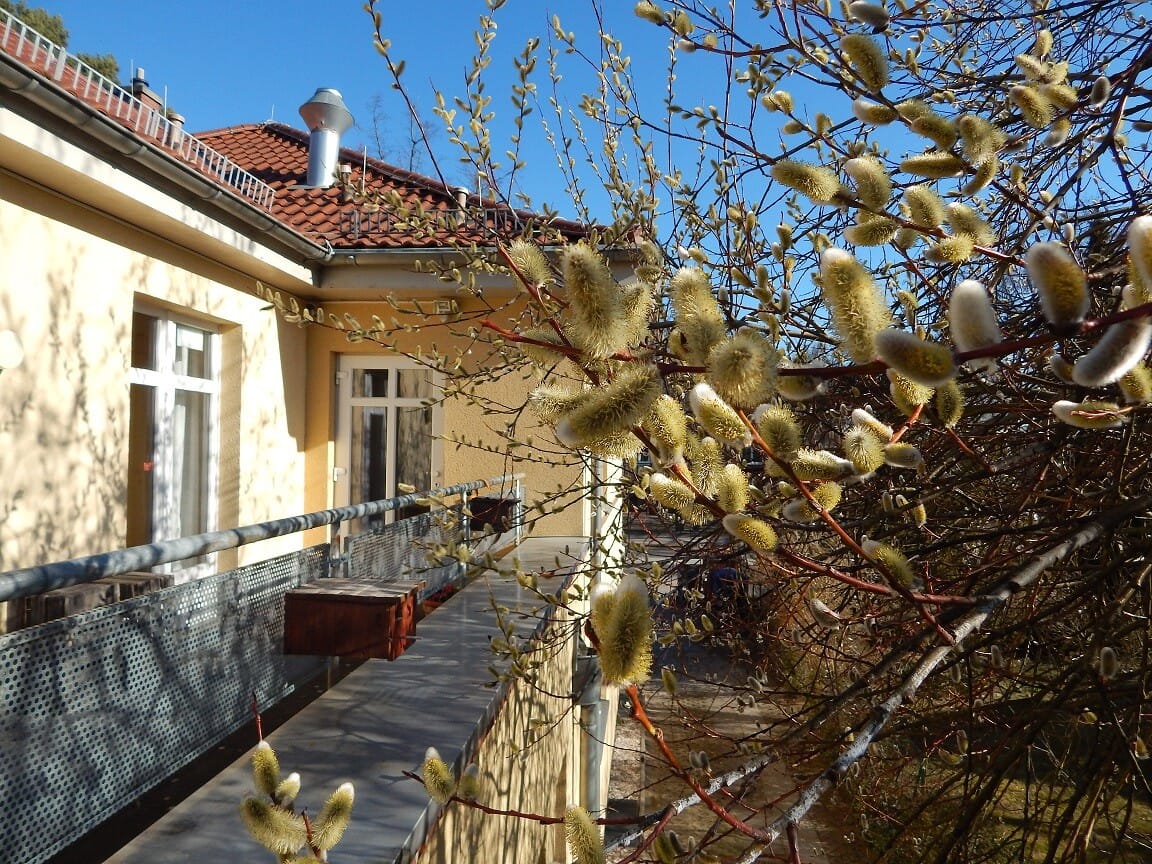 Philantow Familienzentrum photo 3