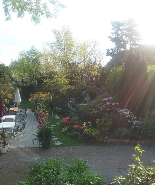 Cafe Rosengarten photo 4