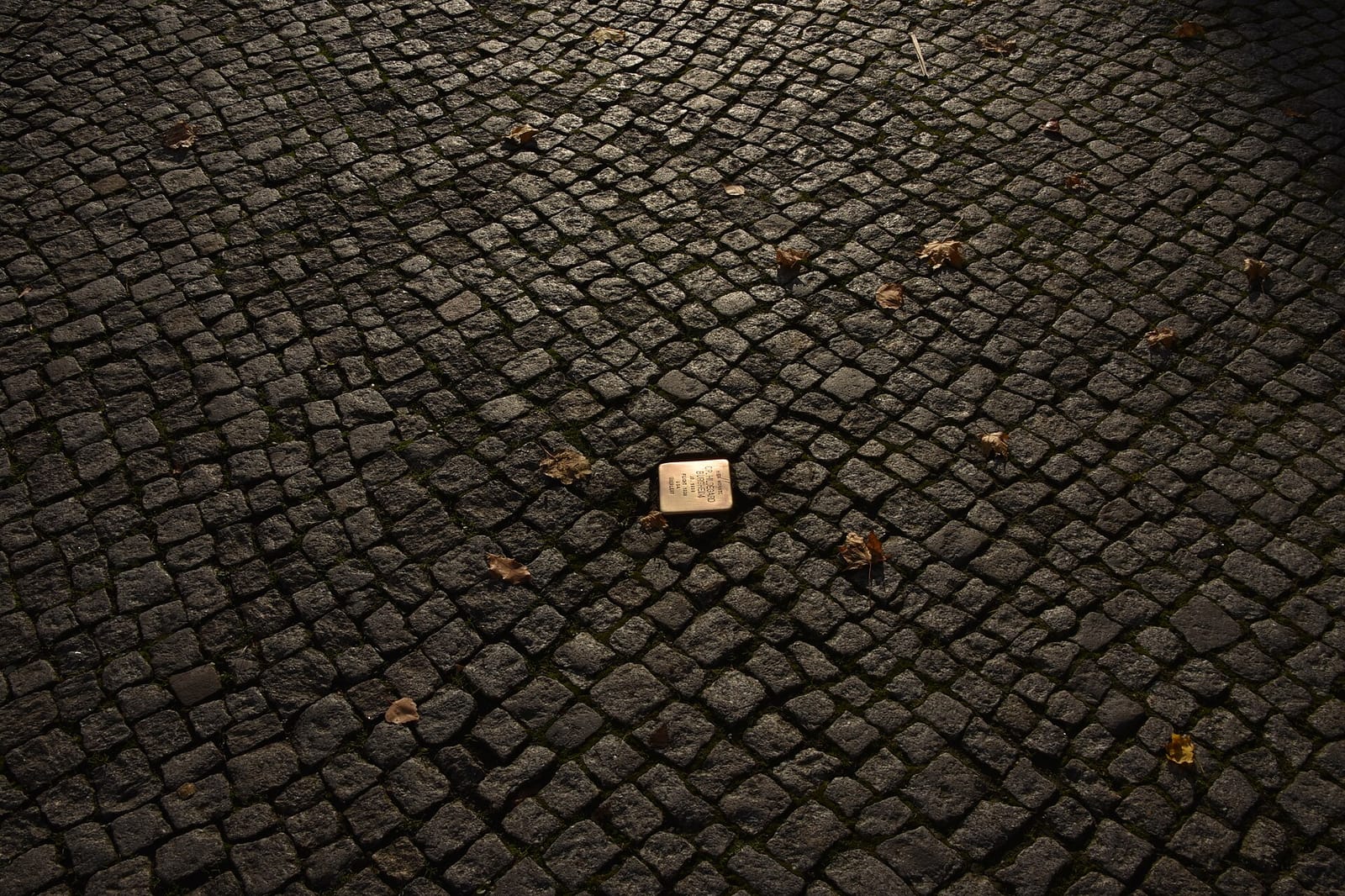 Café Sibirien photo 4