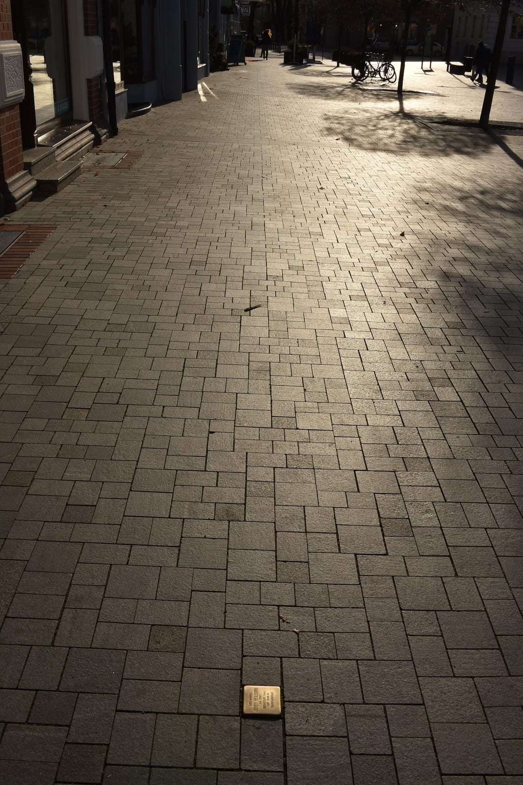 Café Sibirien photo 3