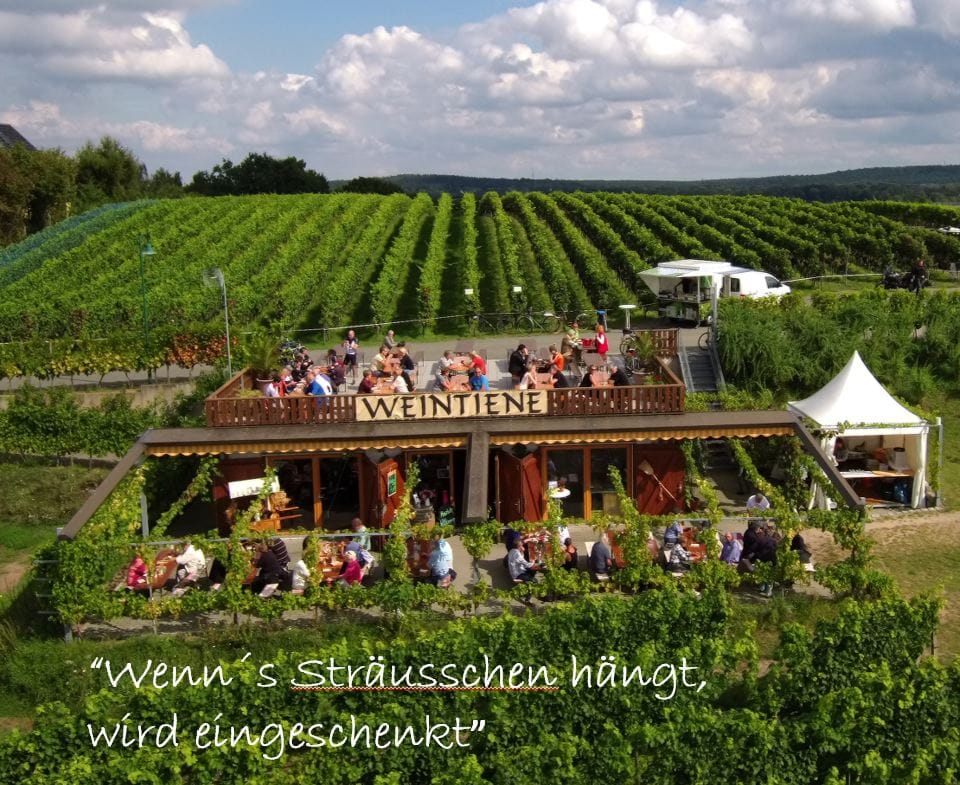 Straußwirtschaft Weintiene