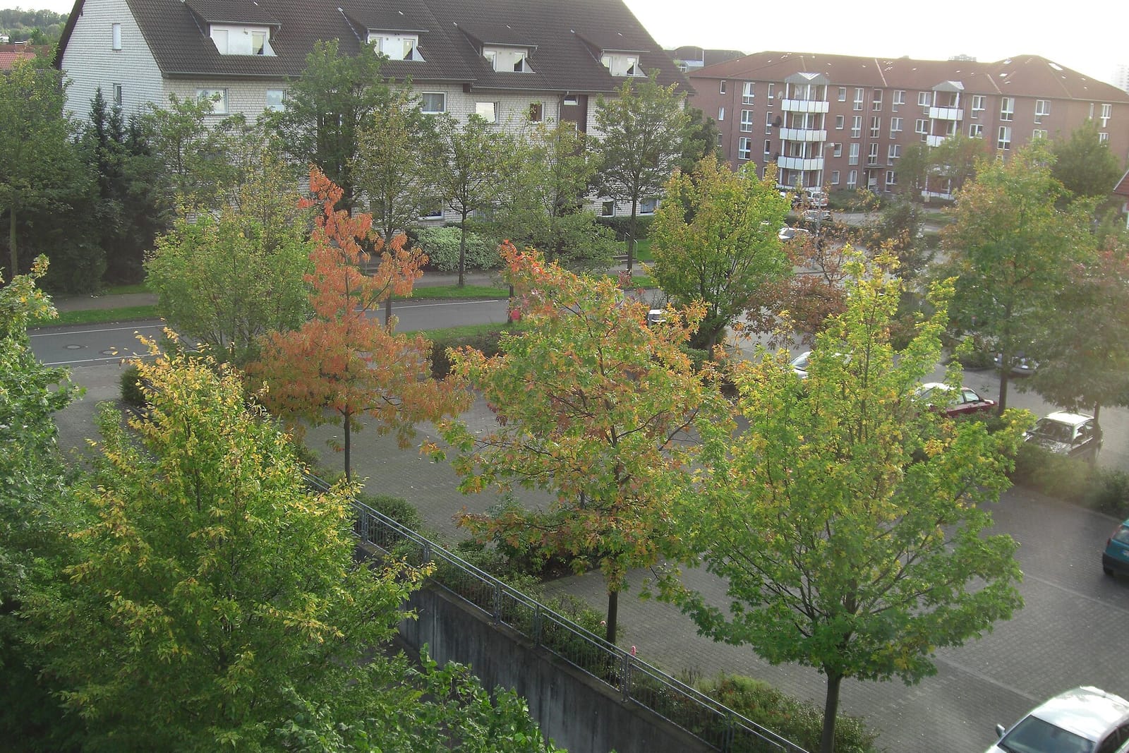 Lange photo 5