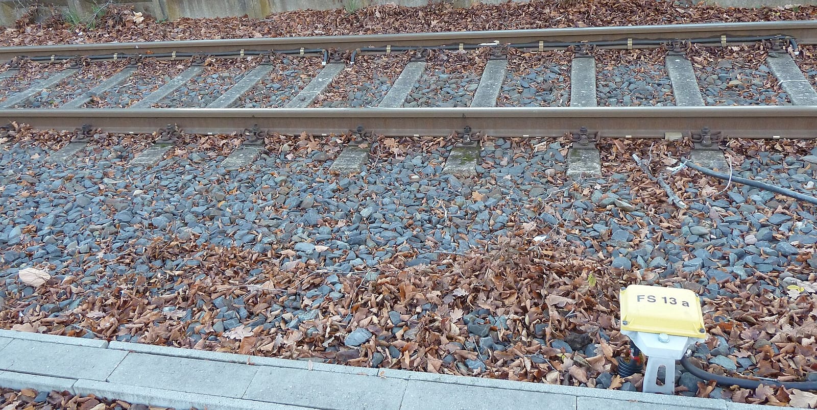 Am Gleis photo 2