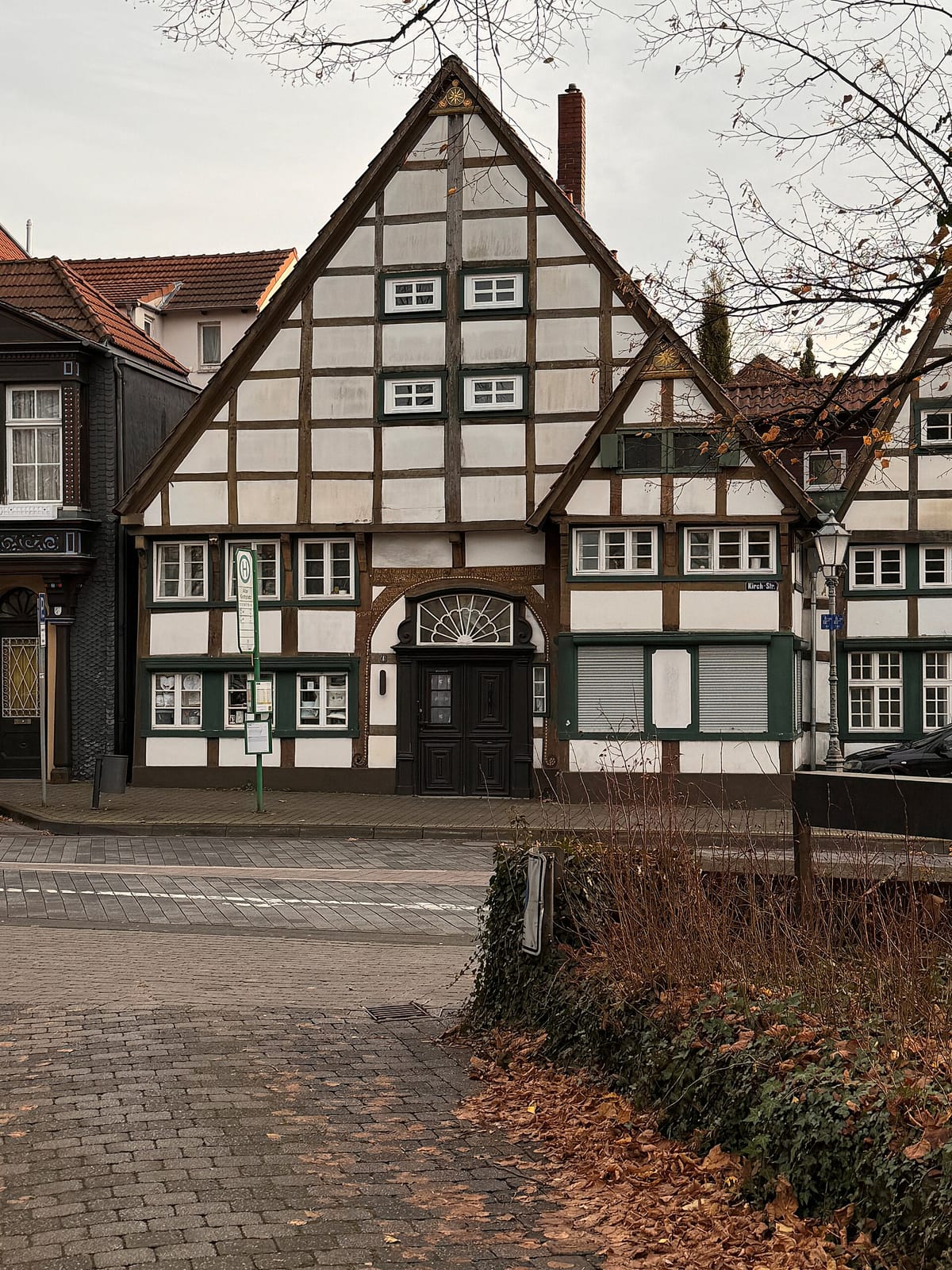 Bohne photo 4