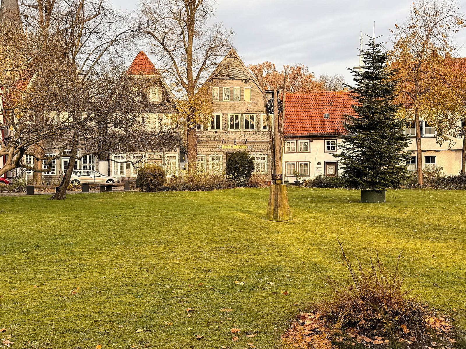 Bohne photo 3