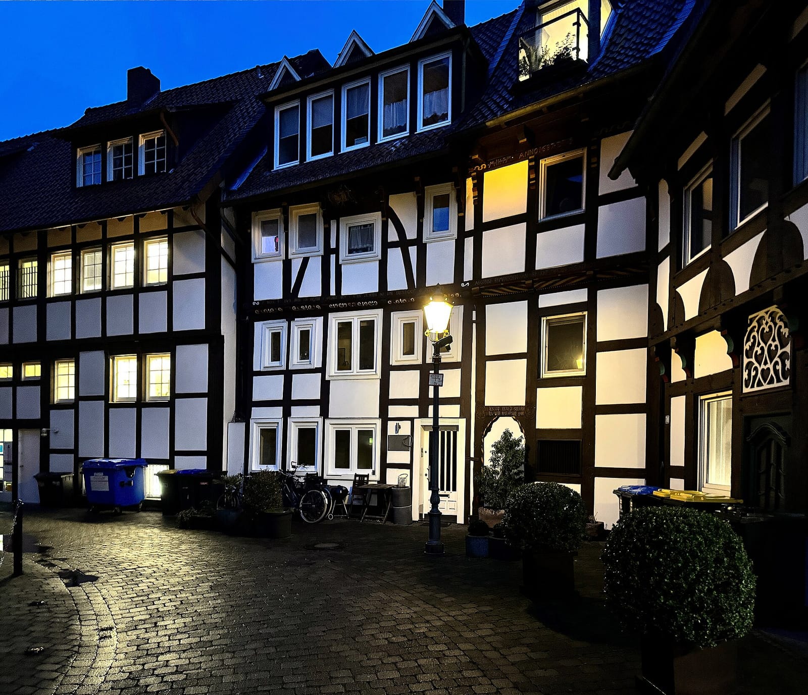 Bohne photo 5