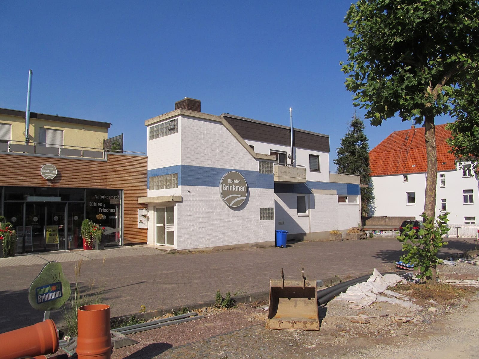 wedde.bio photo 4