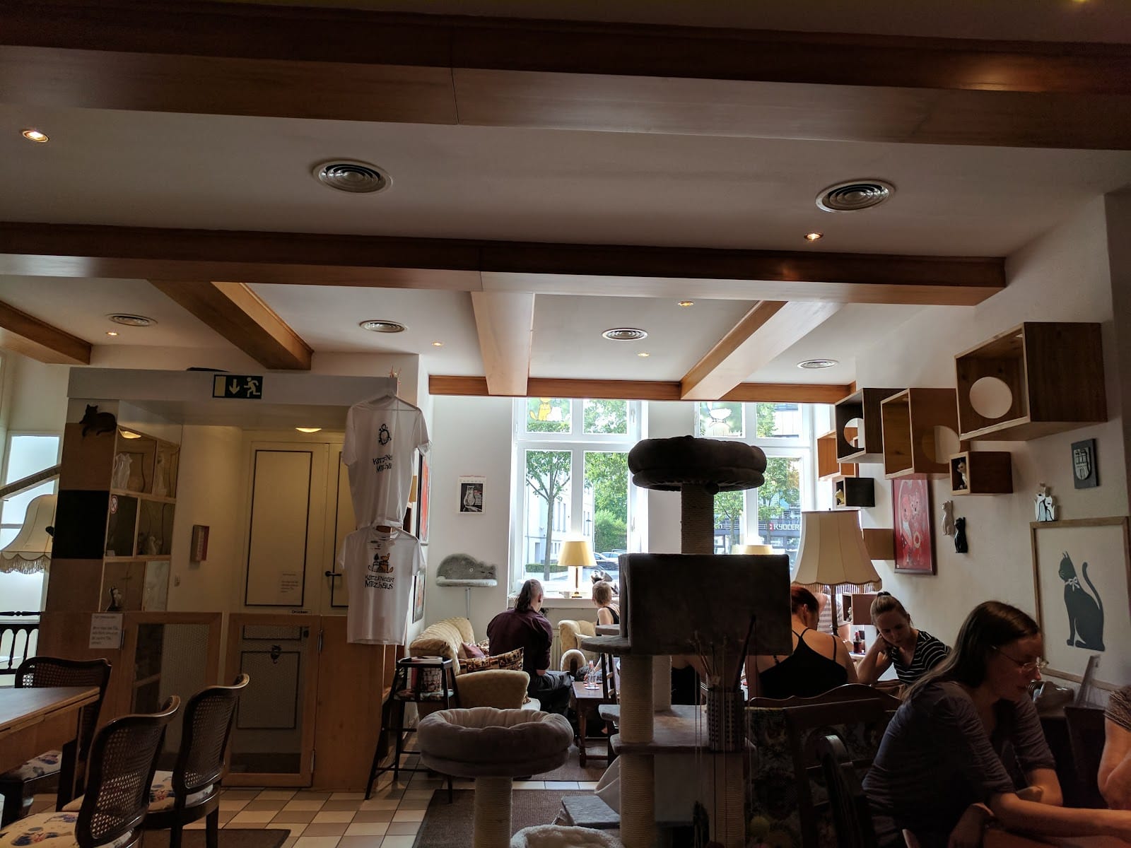 Katzencafé Miezhaus