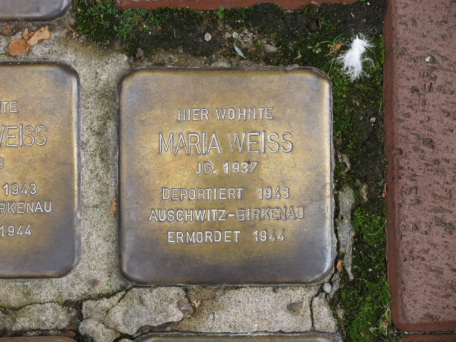 Kofi Museumscafé photo 5