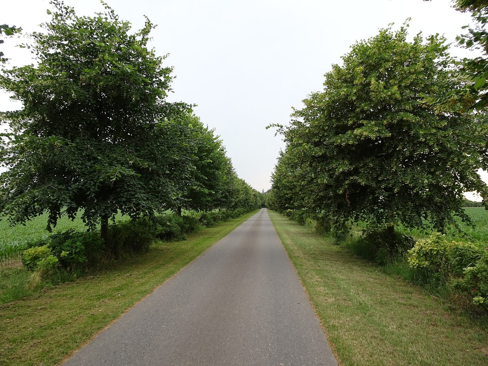 Baumannshof photo 4