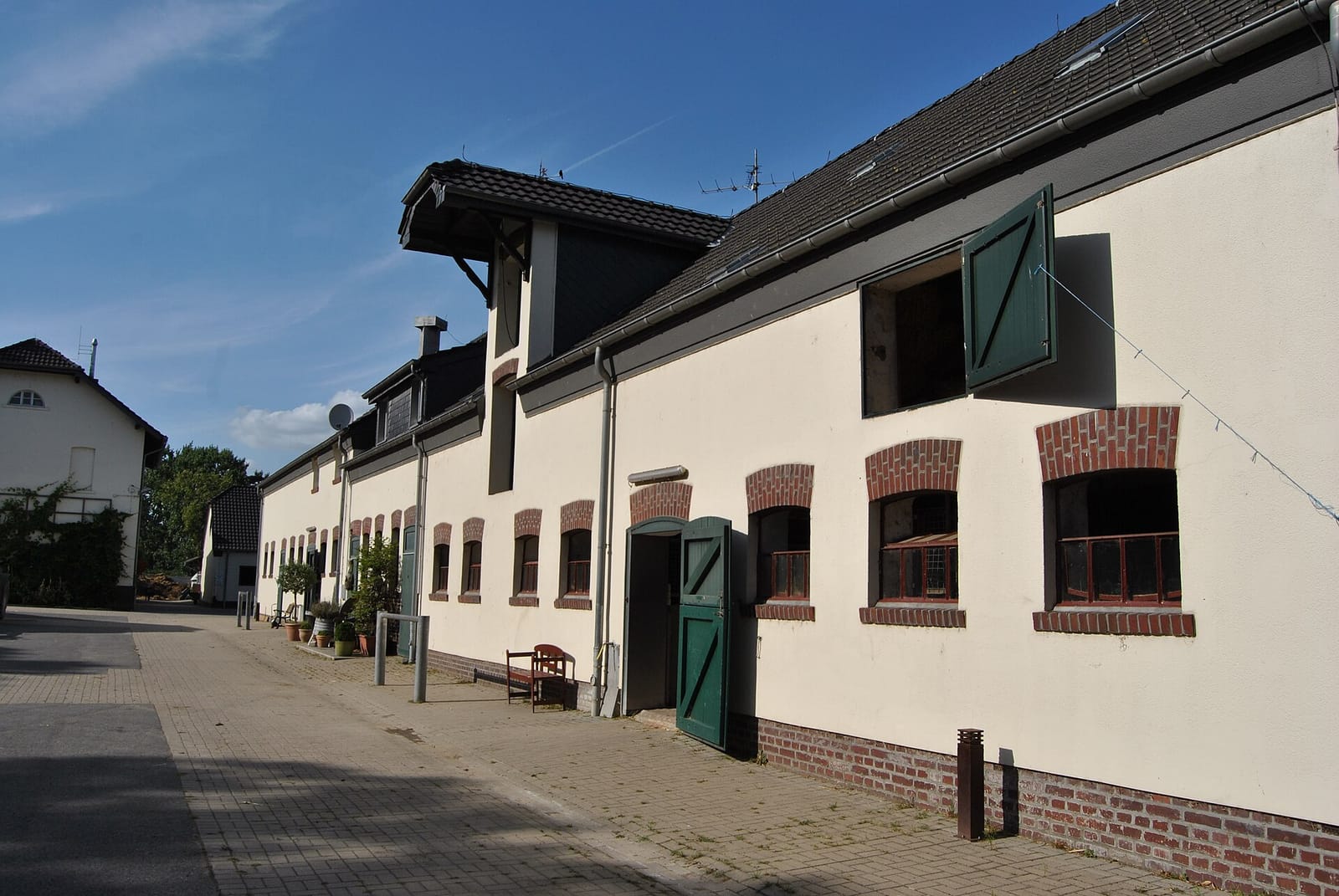 Café Frieda photo 2