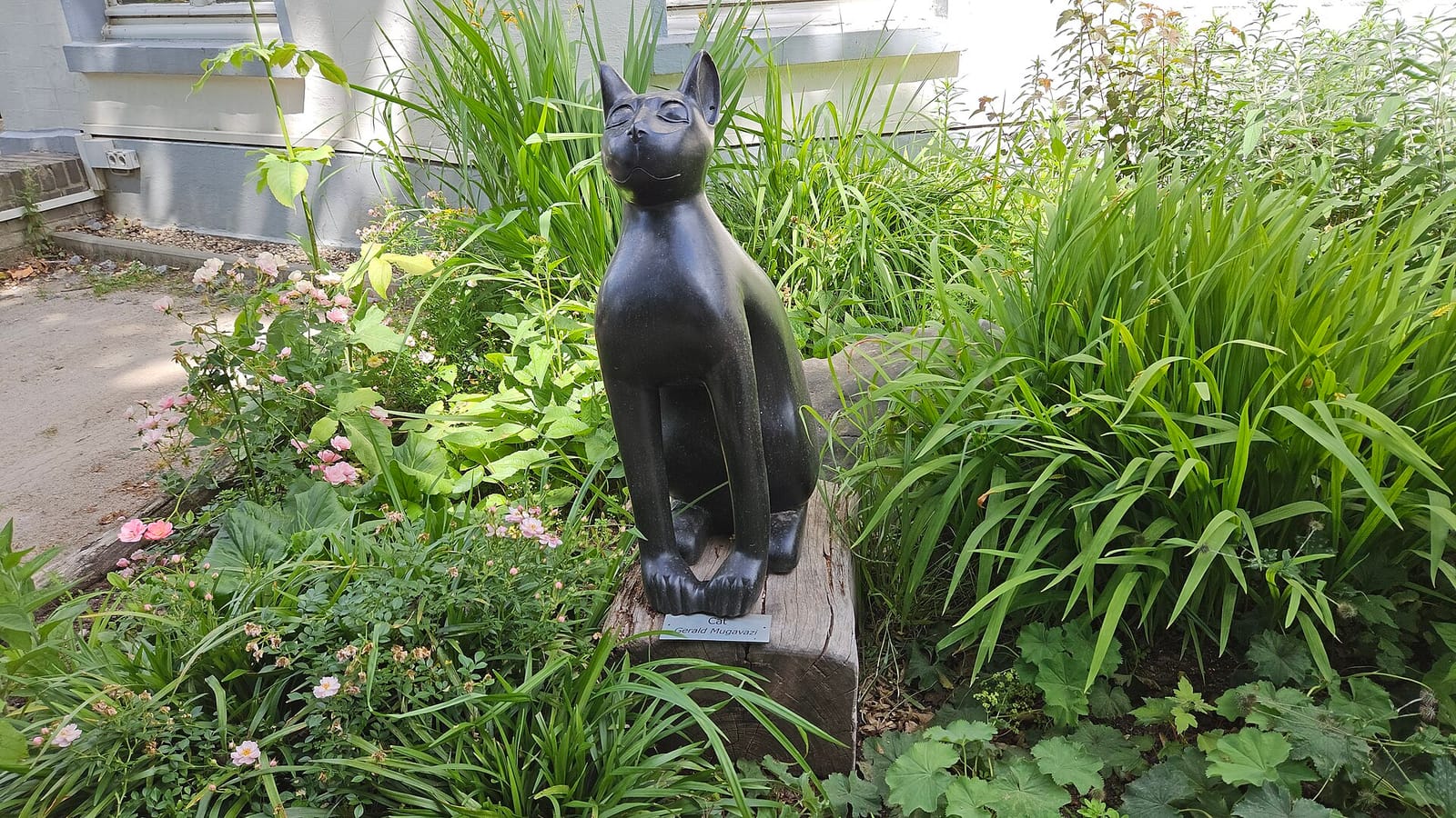 Zoocafé photo 3