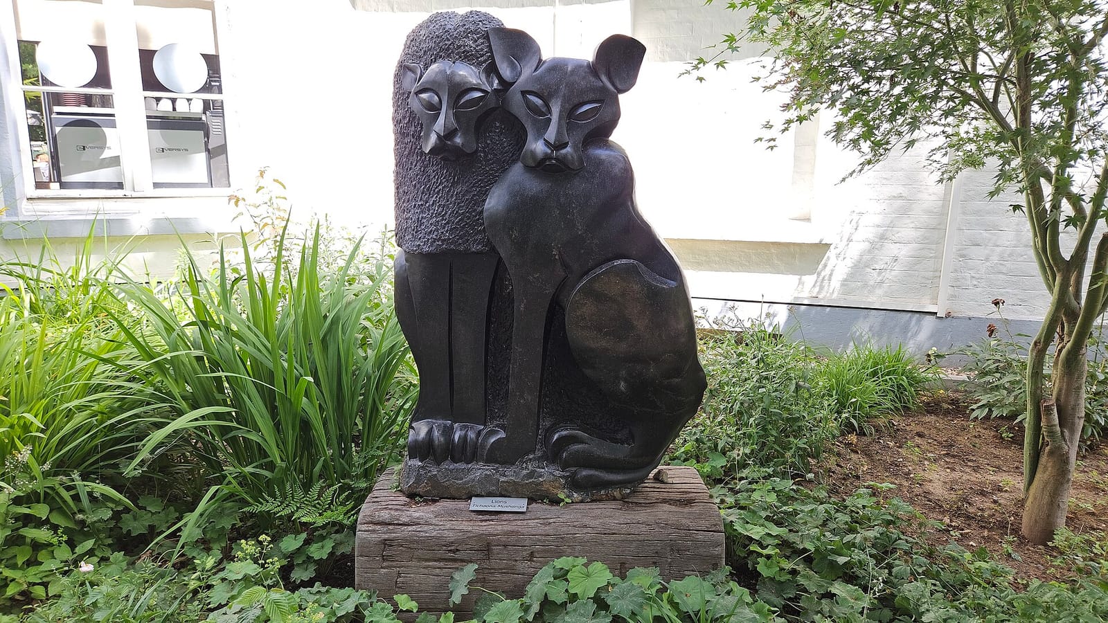 Zoocafé photo 2