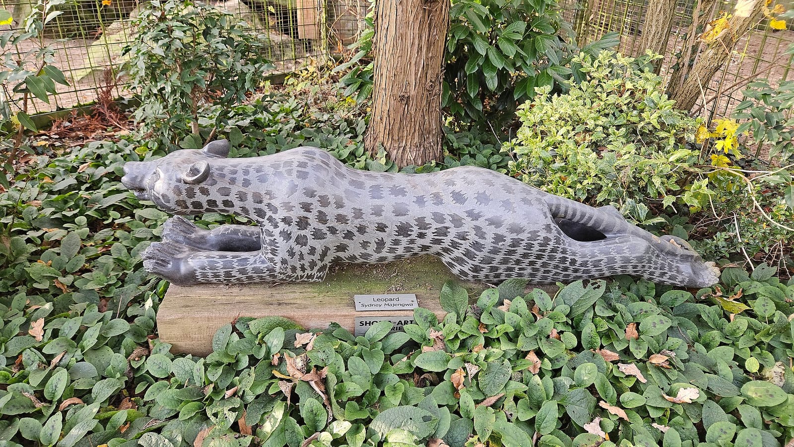 Zoocafé