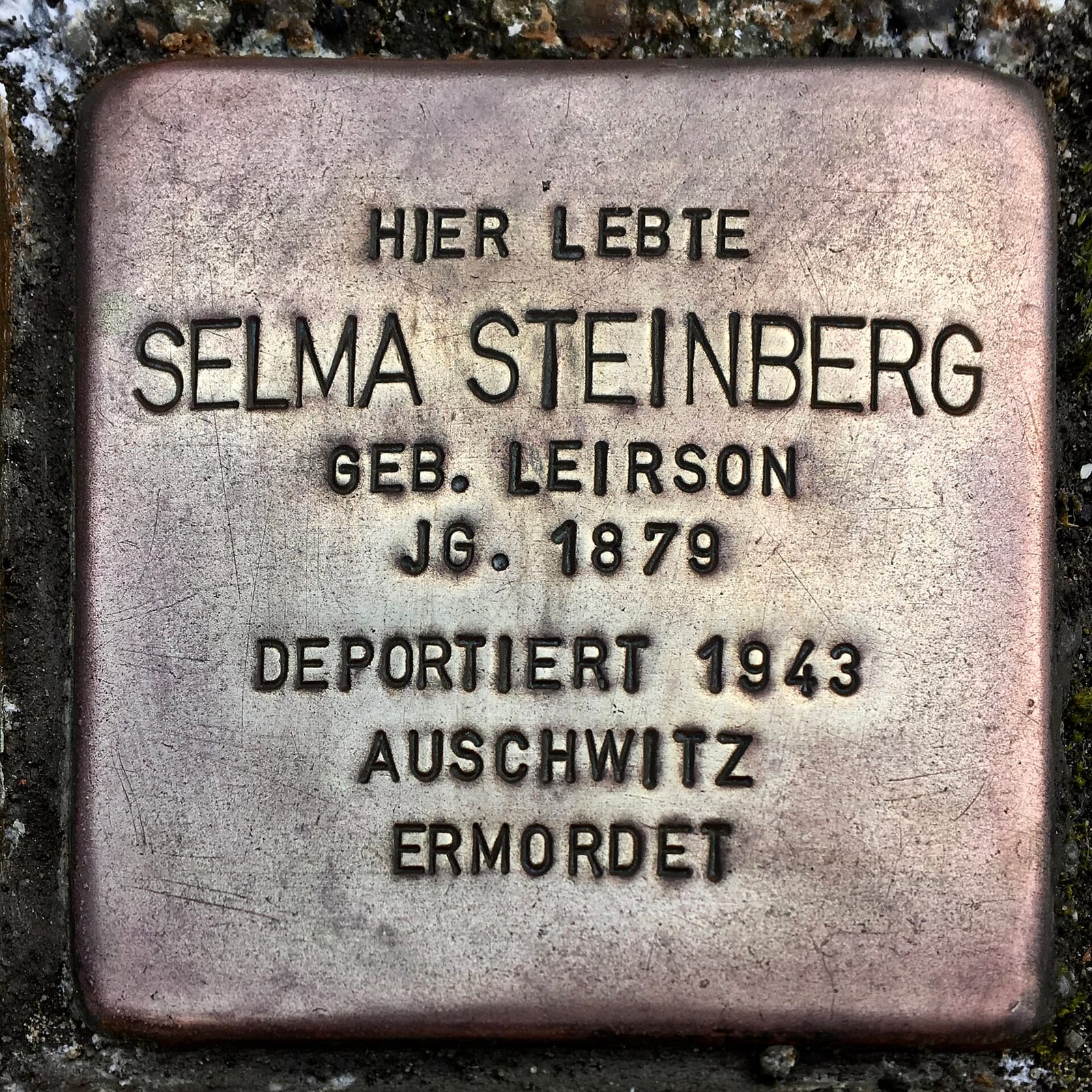 die BRÜCKE photo 3