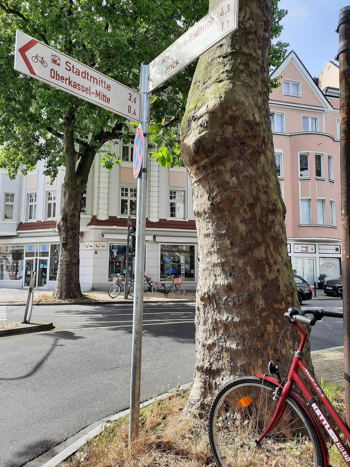 Die Röstmeister photo 2