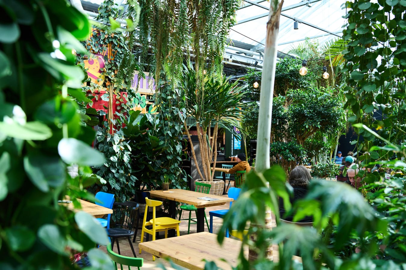 Café Kremer photo 4