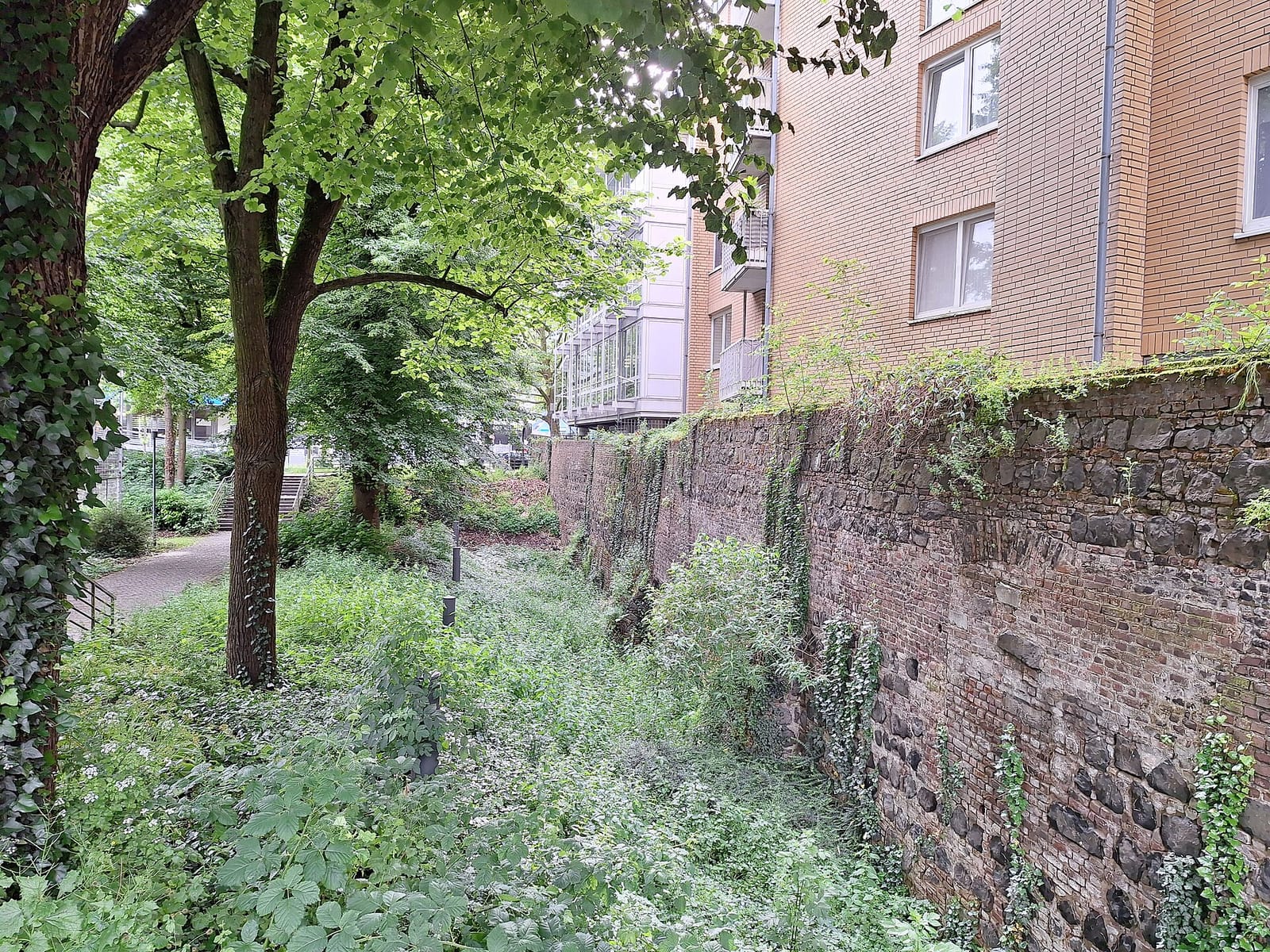 Ypsilon photo 2