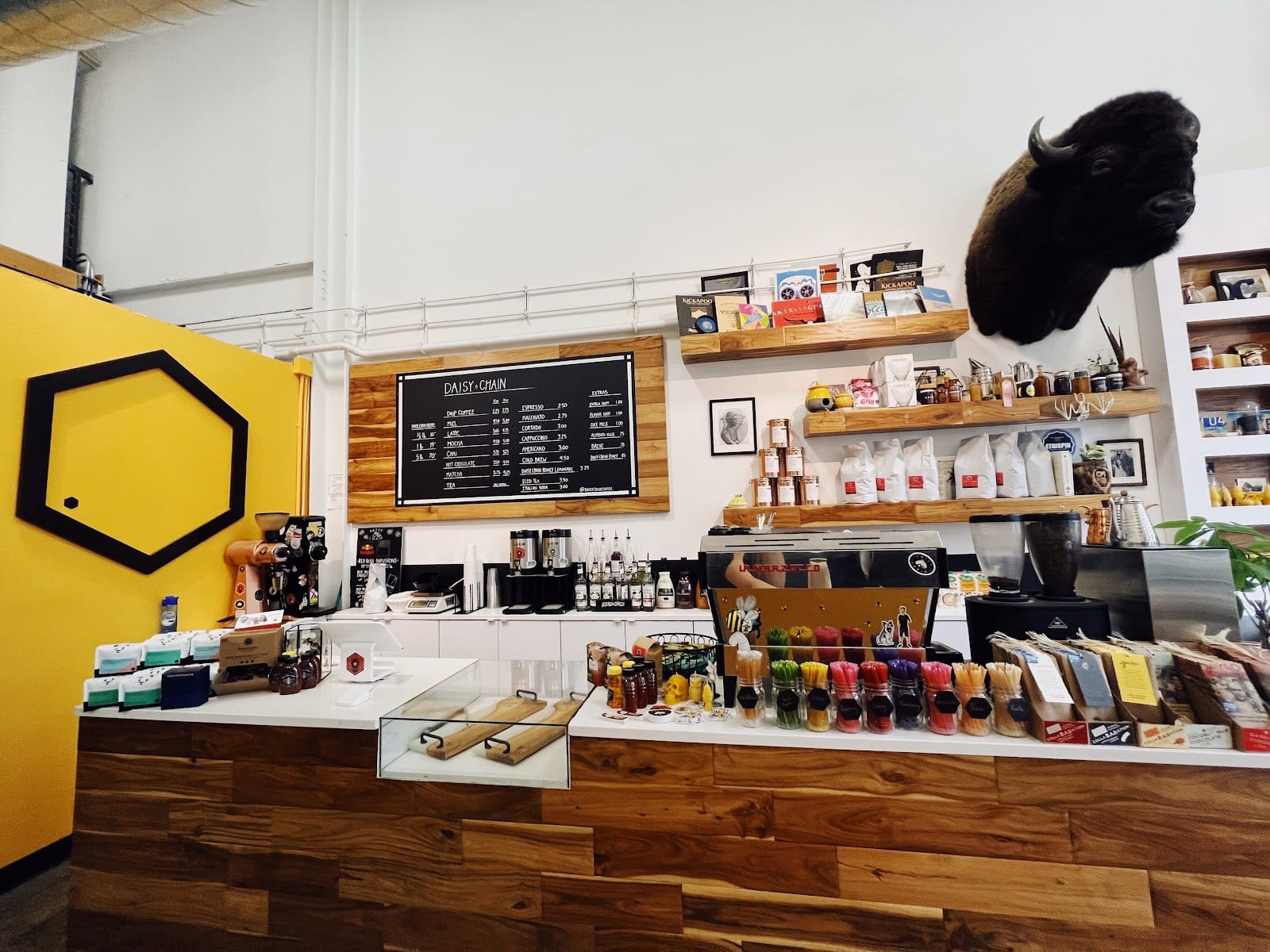 Daisy Chain Coffee