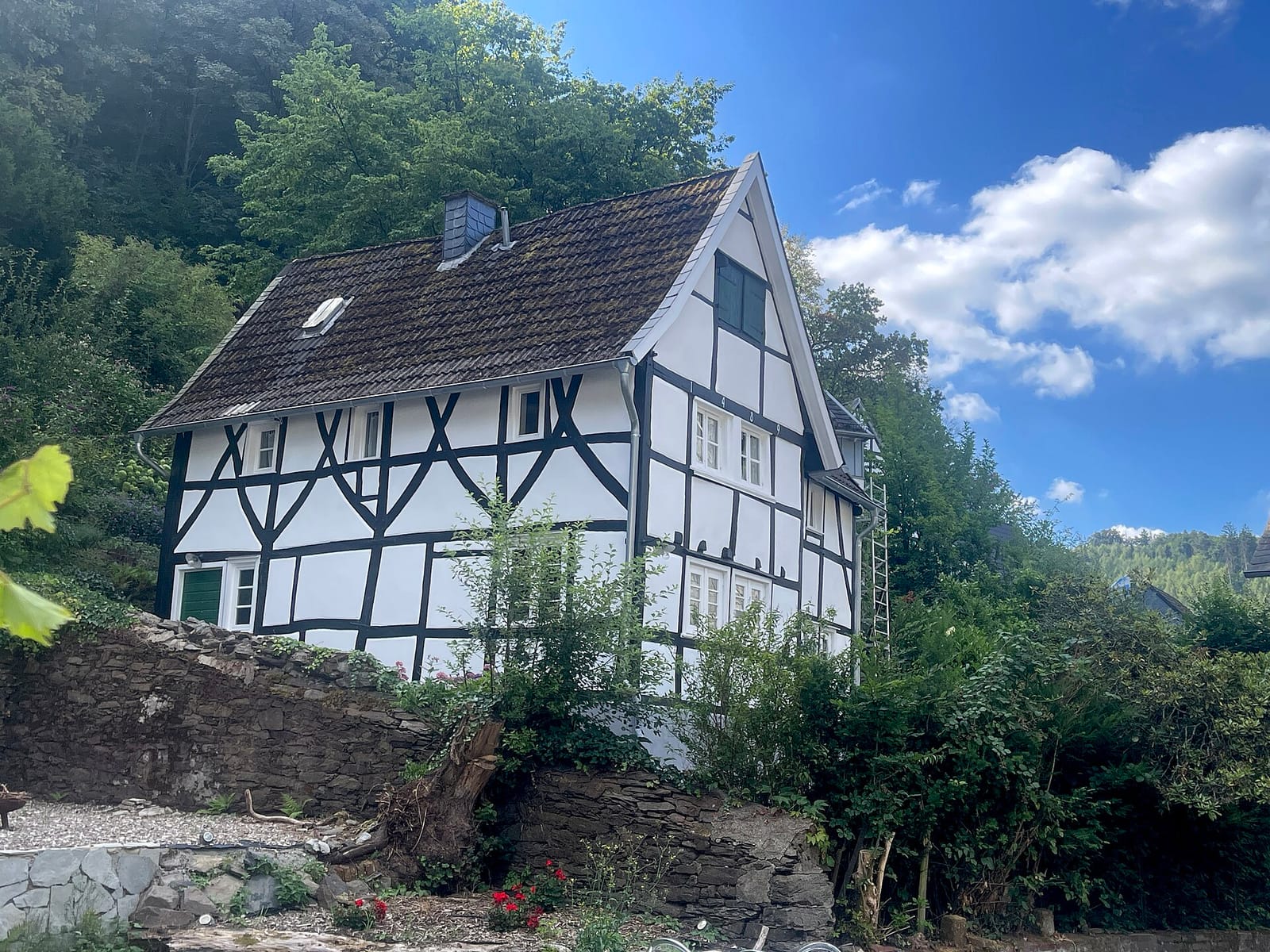 Dürpellos