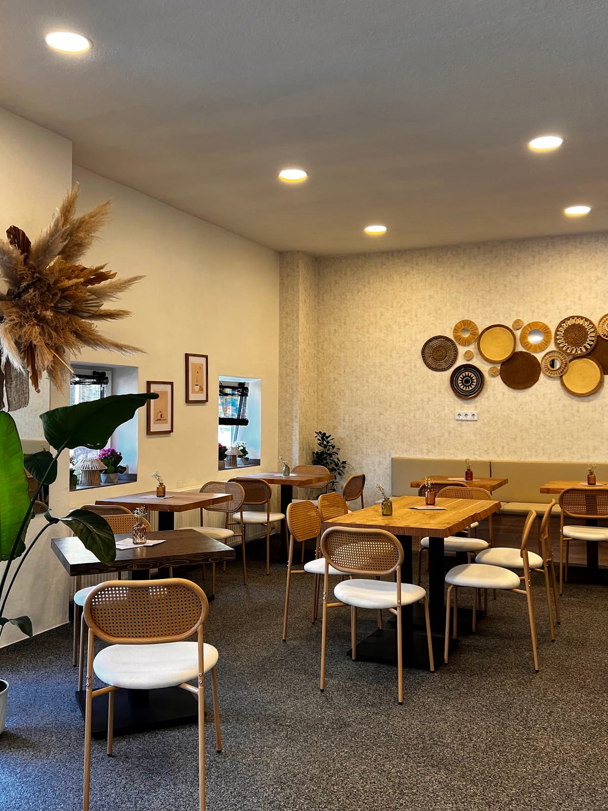 Cafe Nova