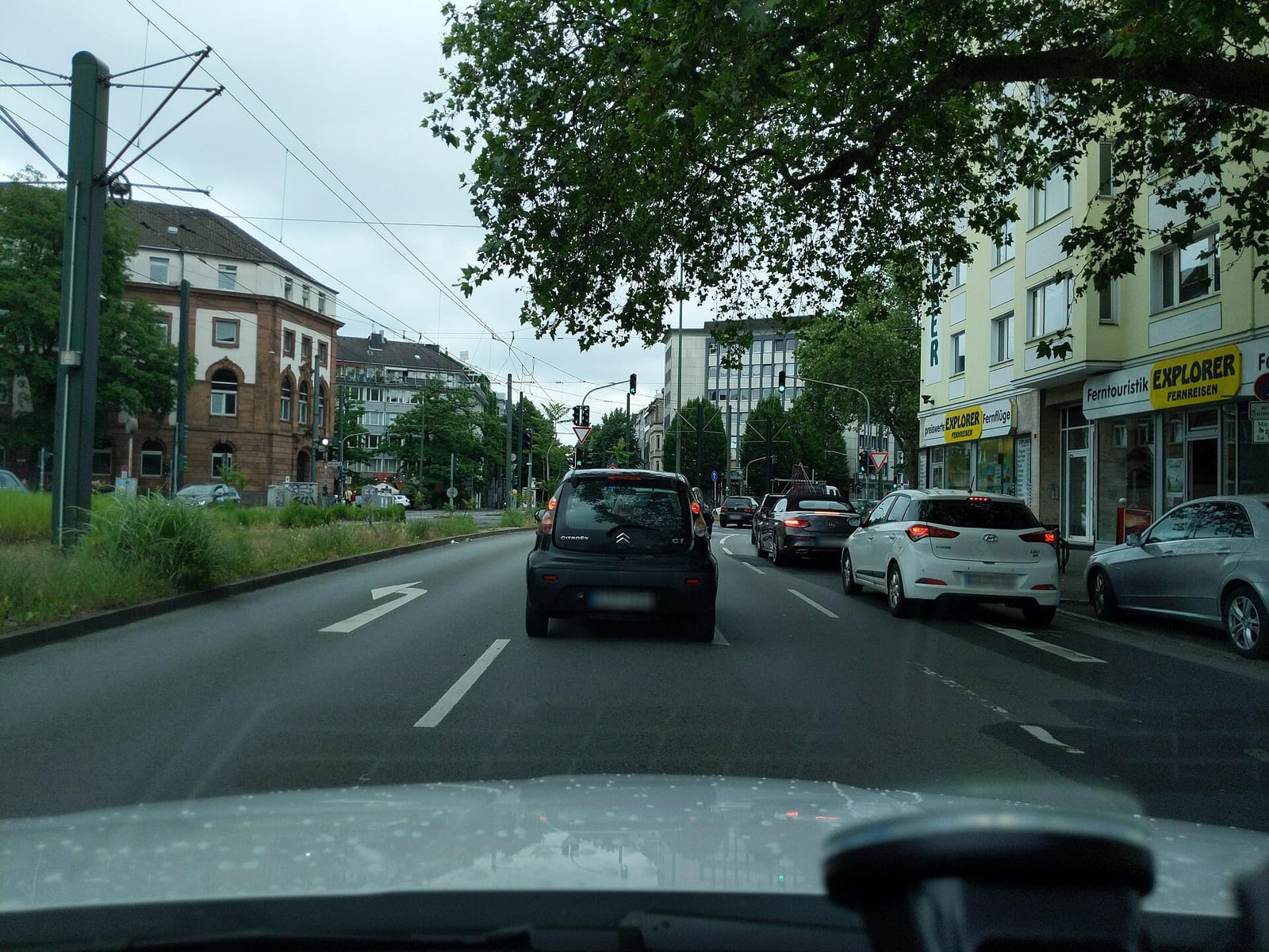 Stoak photo 2