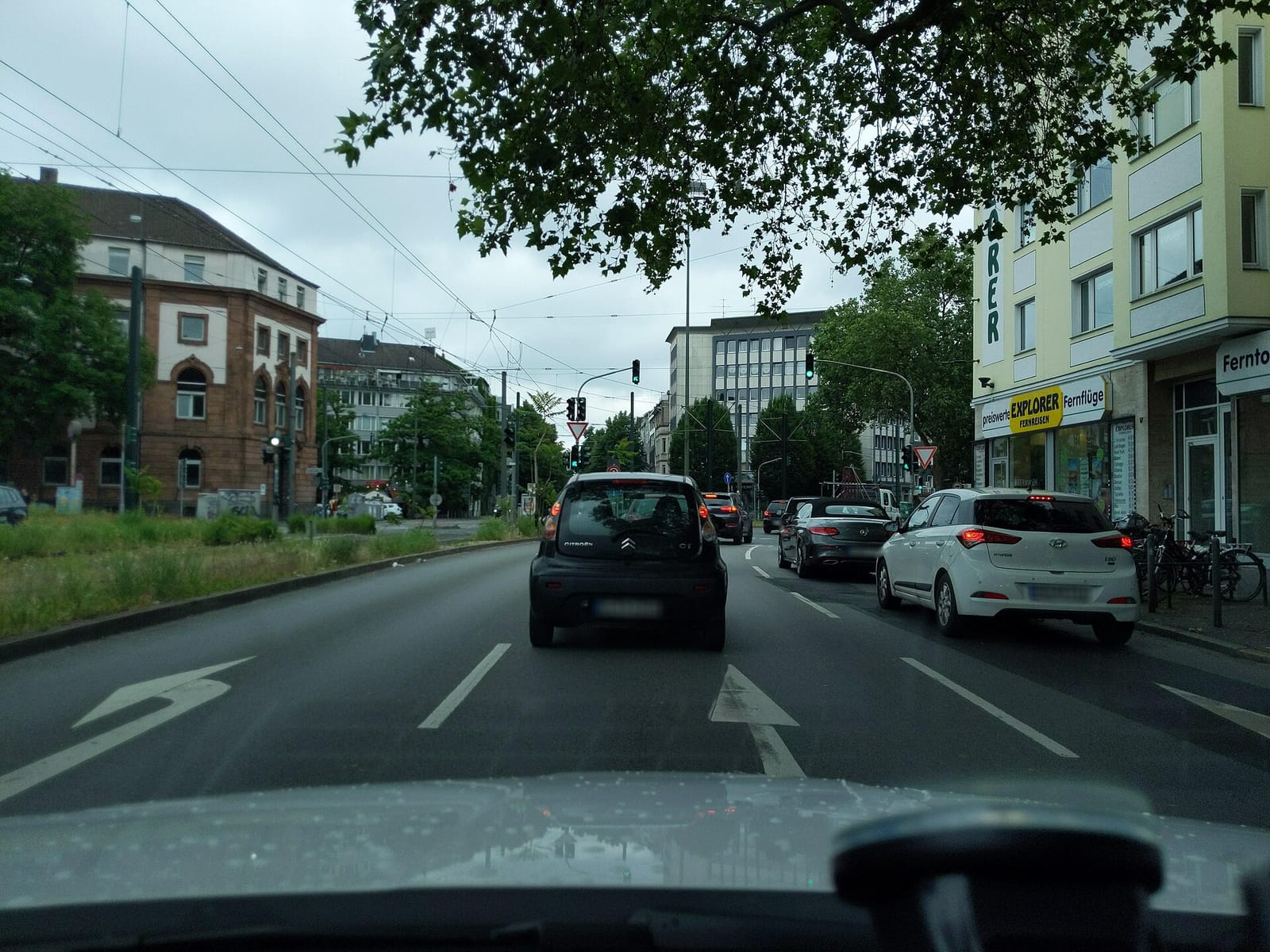 Stoak photo 3