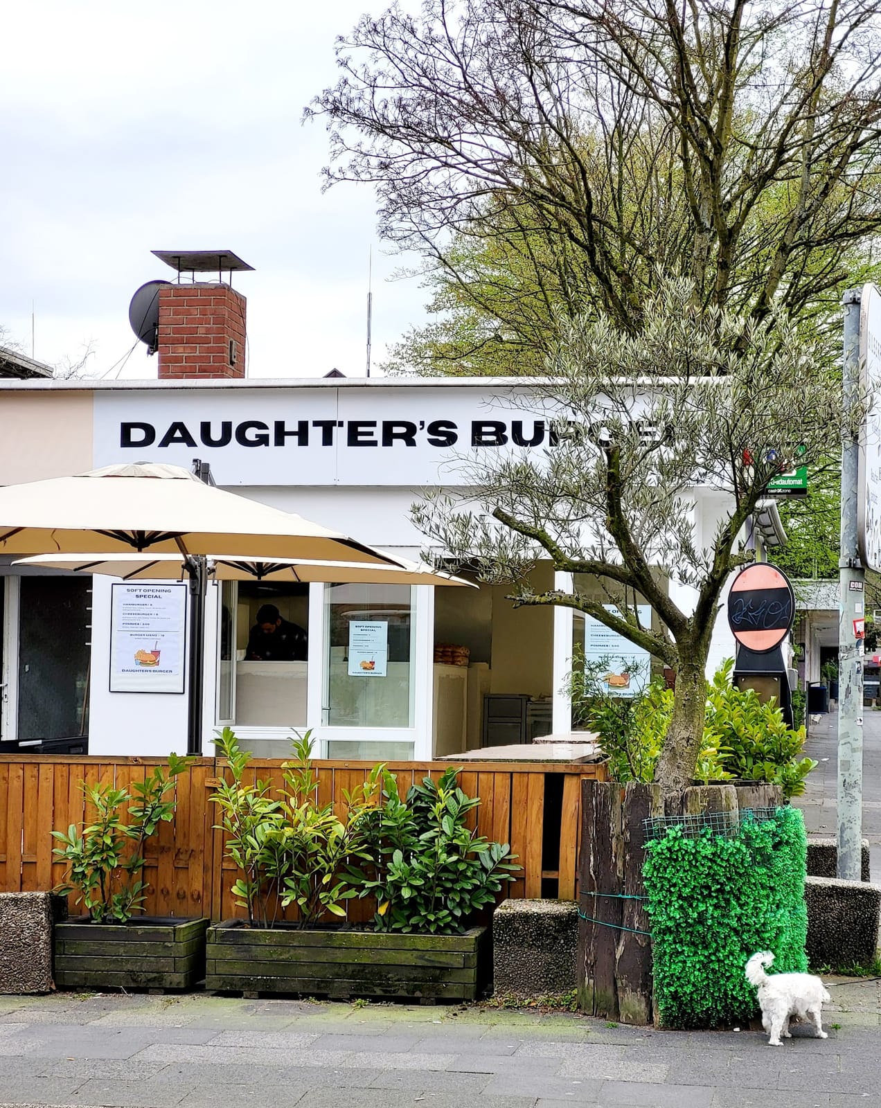 Daughter's