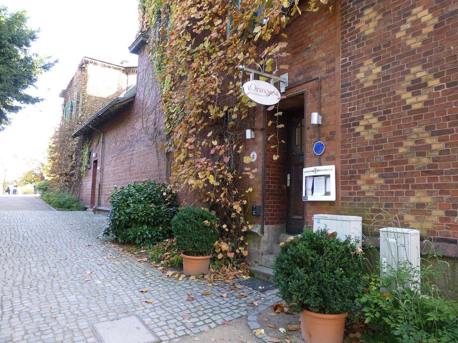 Cafe Elise photo 2