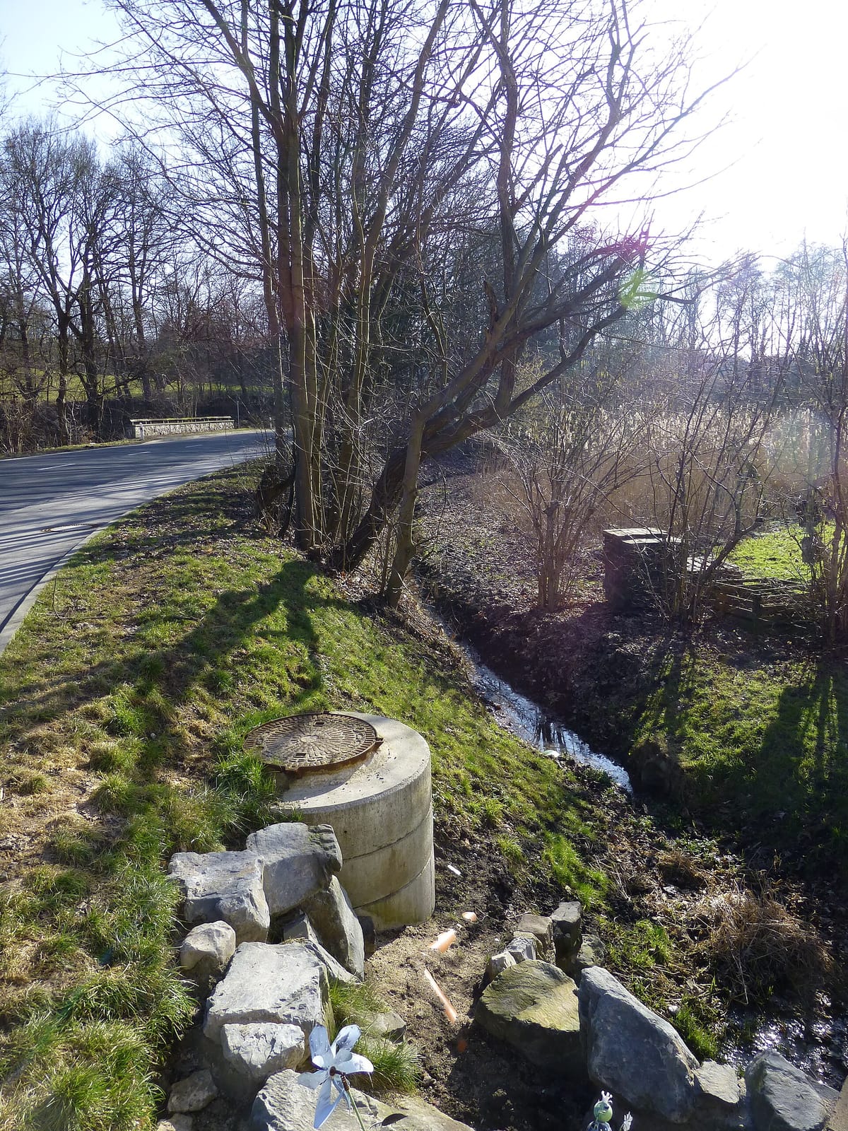 Herz & Bohne photo 3