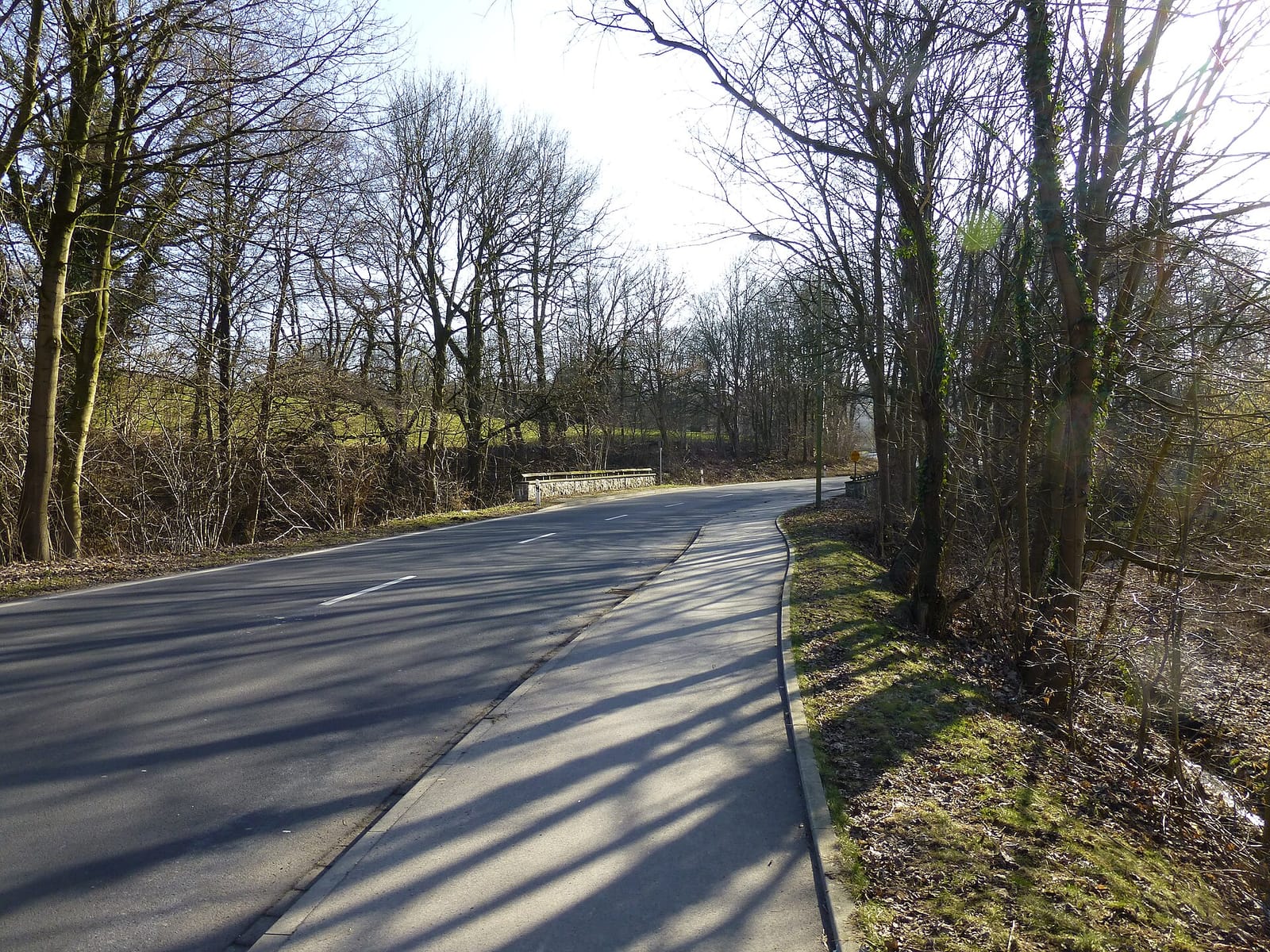 Herz & Bohne photo 4