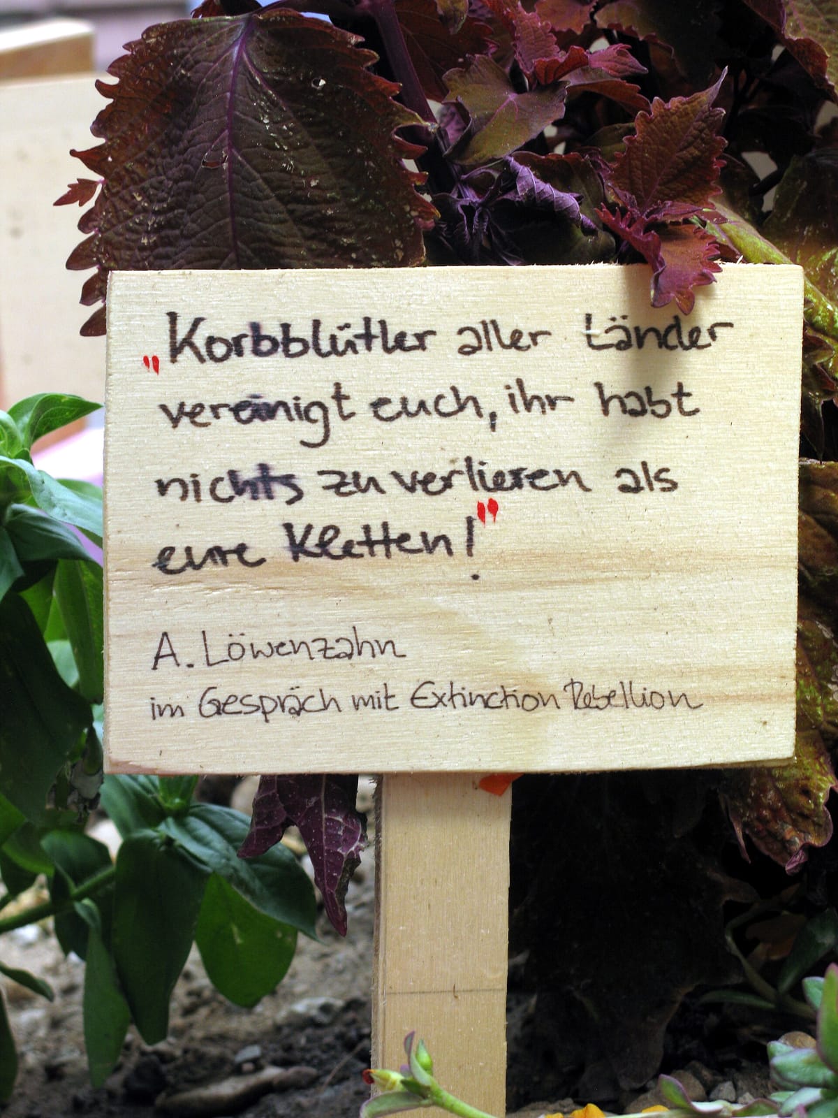 Café Auszeit photo 4