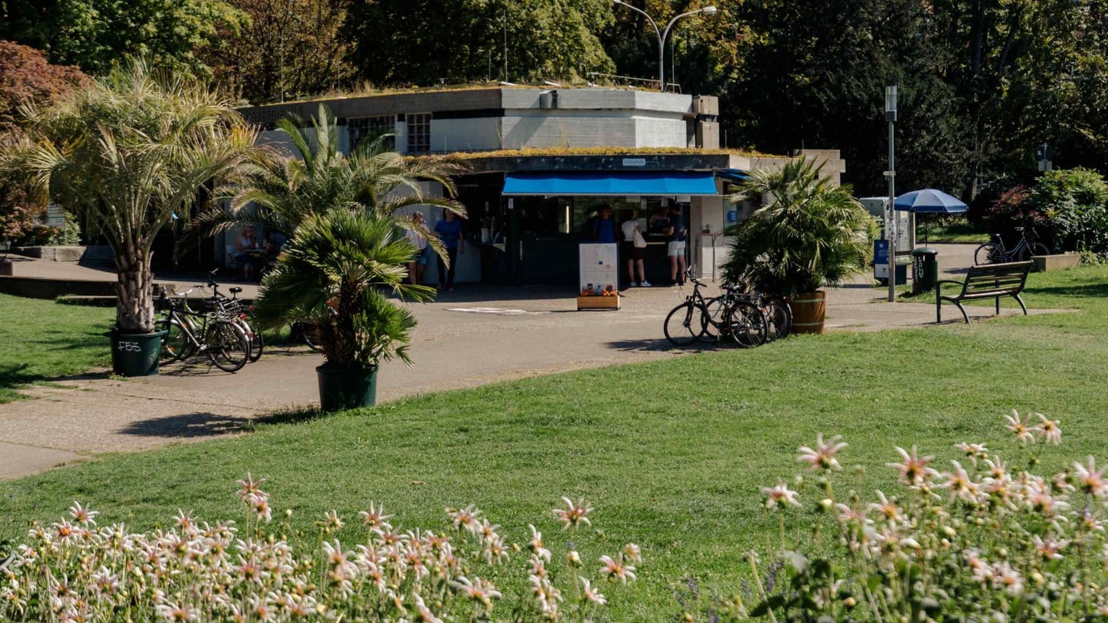 Café Marcel photo 2