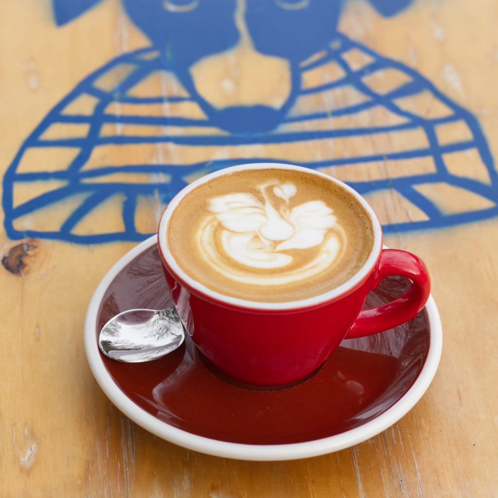 Café Marcel photo 3