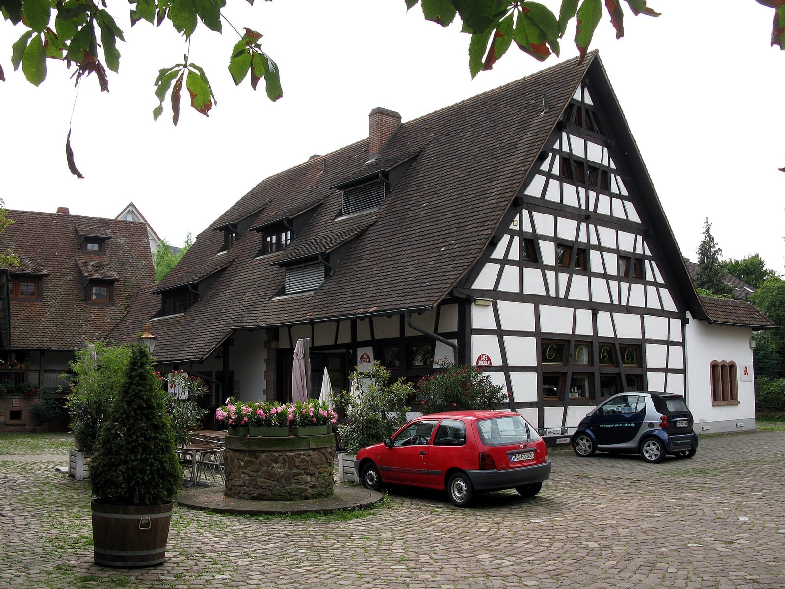 Engel photo 2