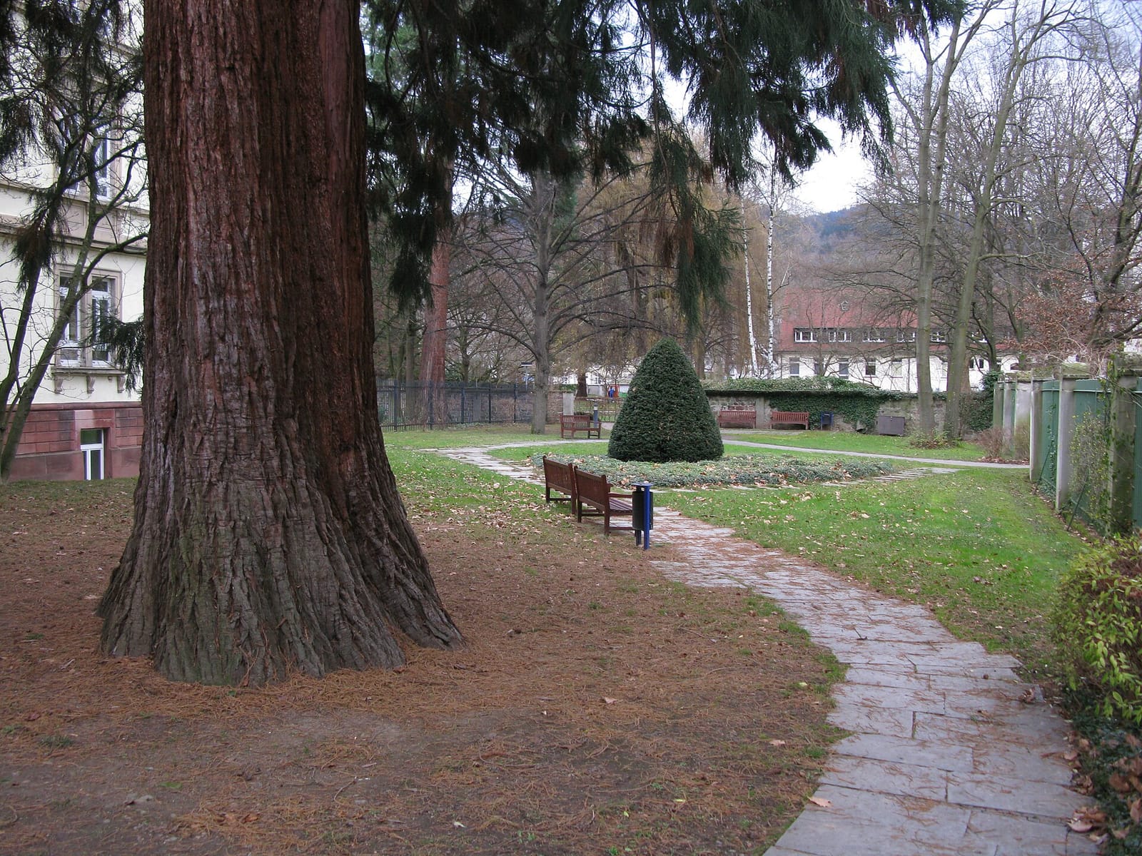 Cafeteria am Teich photo 4