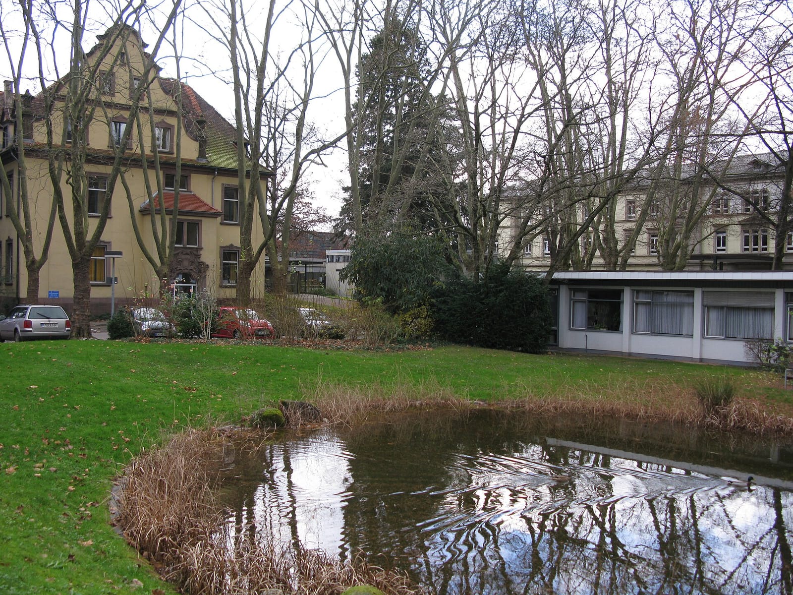 Cafeteria am Teich photo 2