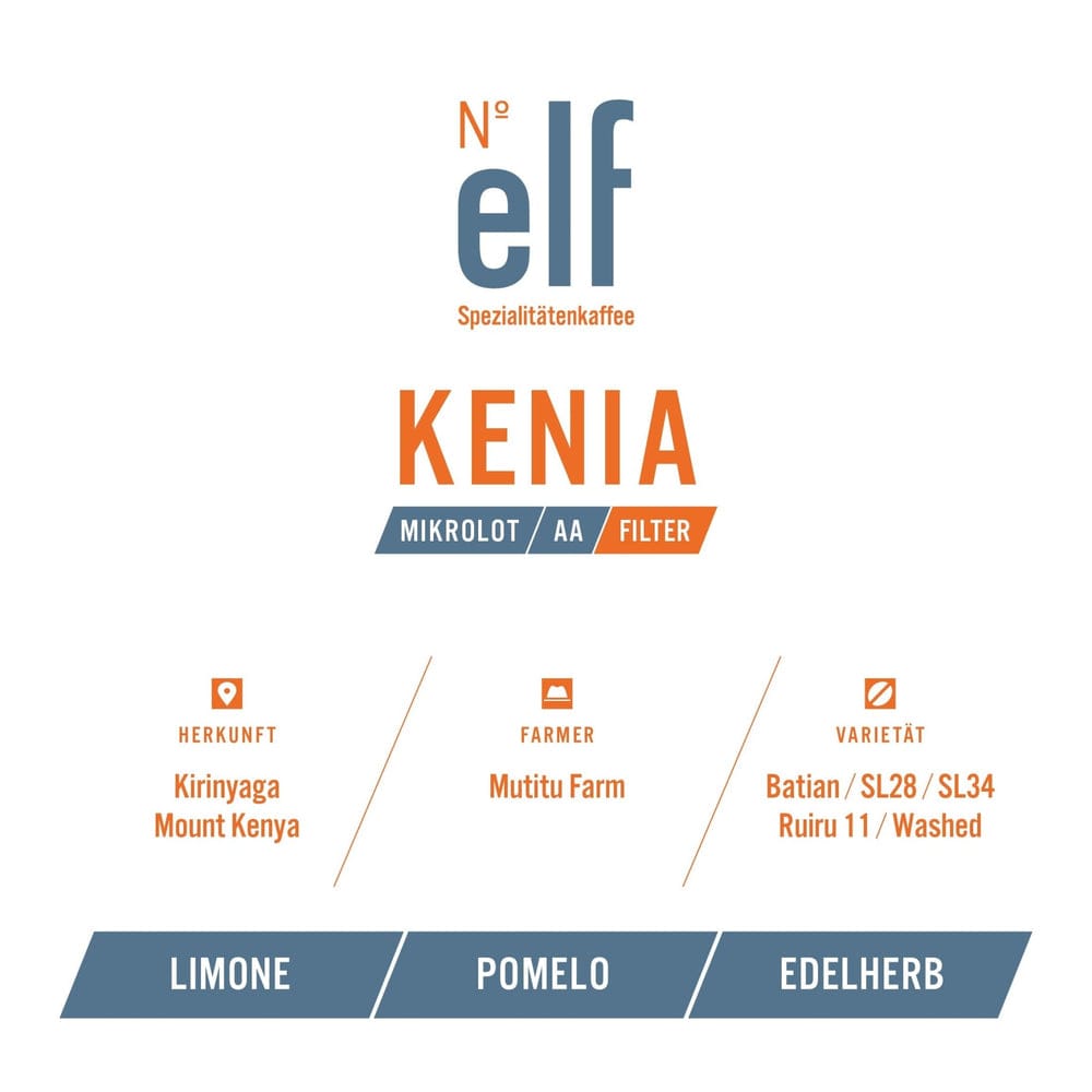 Cafe N° elf photo 5