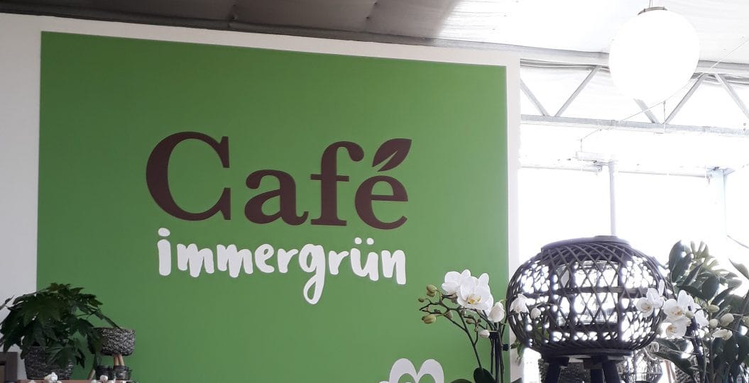 Café Immergrün