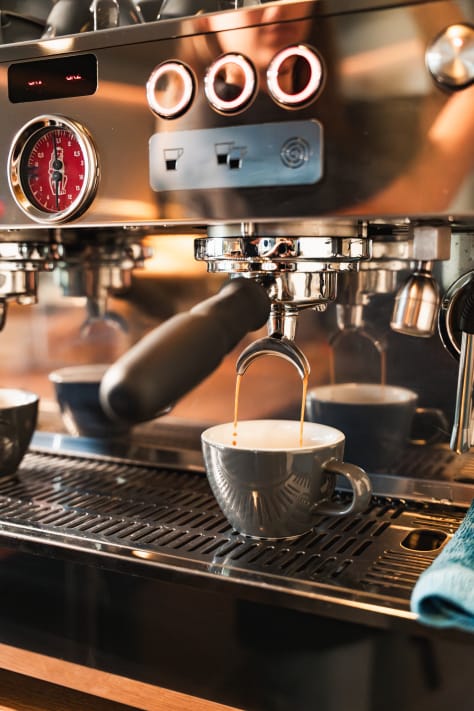 Café Alma photo 3