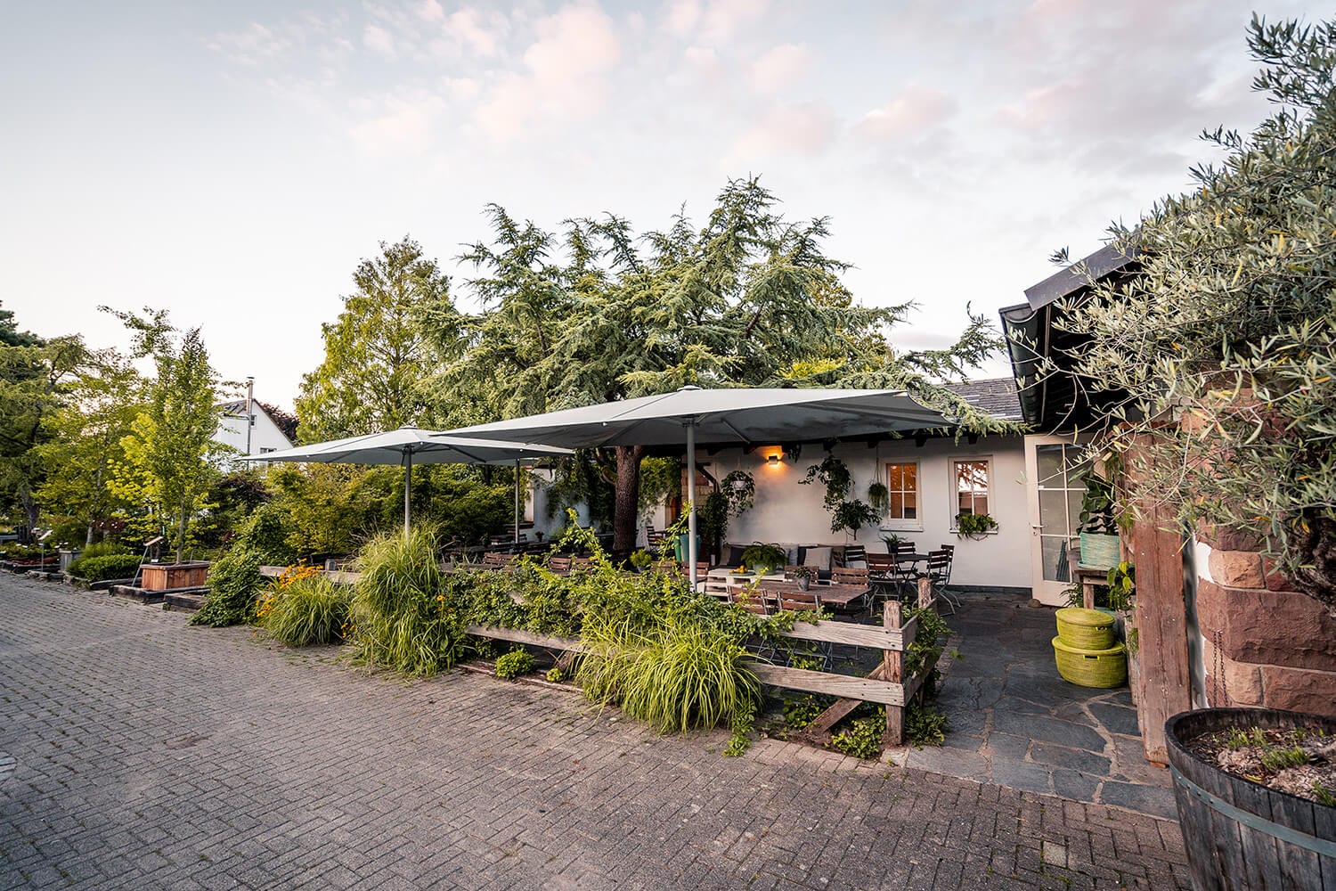 Blumencafé photo 4